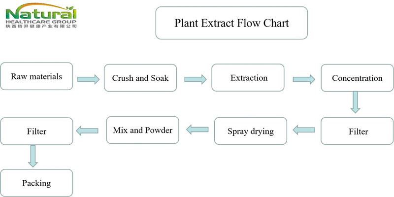 flow chart flow chart