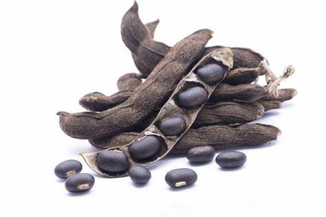 mucuna pruriens Extract mucuna pruriens Extract