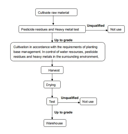 Flow Chart-2