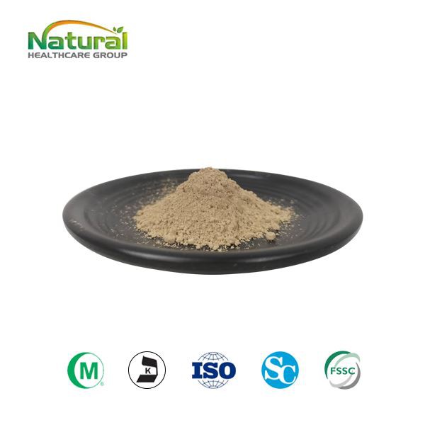 ম্যাগনোলিয়া বার্ক এক্সট্র্যাক্ট পাউডার 98% ম্যাগনোলল