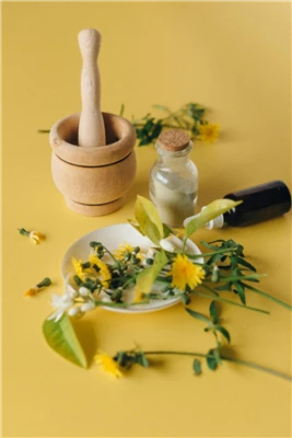 কিভাবে Celandine নির্যাস ব্যবহার করবেন?